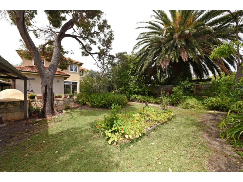 163 Virgil Avenue, Yokine WA 6060