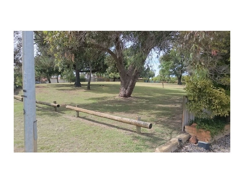 21 Chestnut Grove, Mirrabooka WA 6061