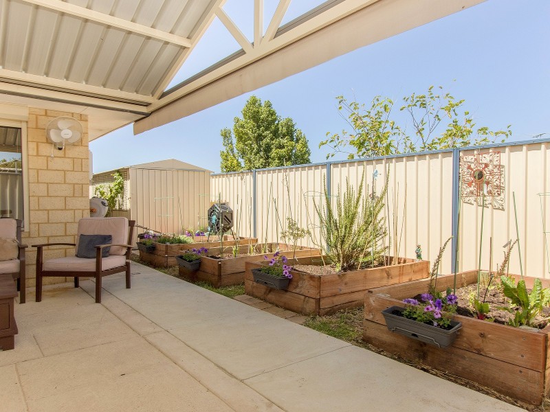 25 Wimbledon Street, Bertram WA 6167