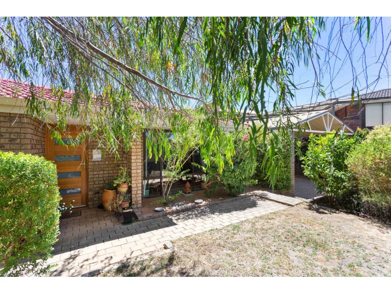 96 Plover Drive, Yangebup WA 6164