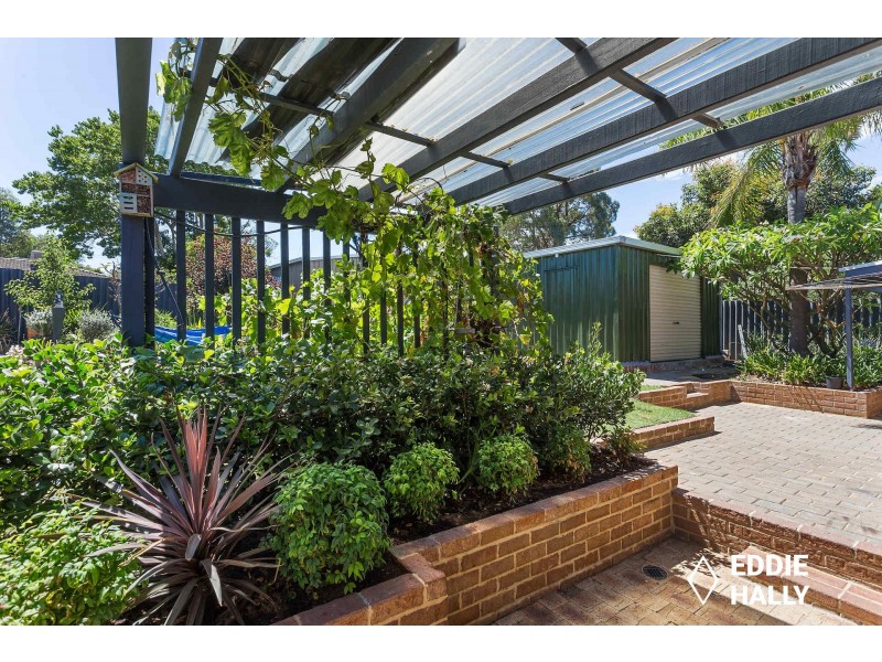 5 Crake Place, Yangebup WA 6164