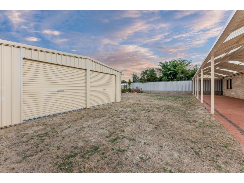 3 Ghost Gum Boulevard, Banksia Grove WA 6031