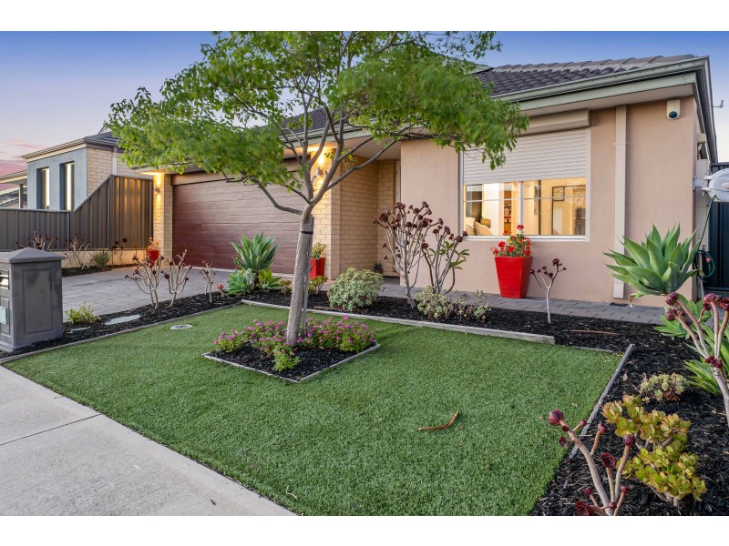 18 Paludosa Link, Banksia Grove WA 6031