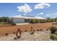 77 Dirk Hartog Drive, Nambeelup WA 6207