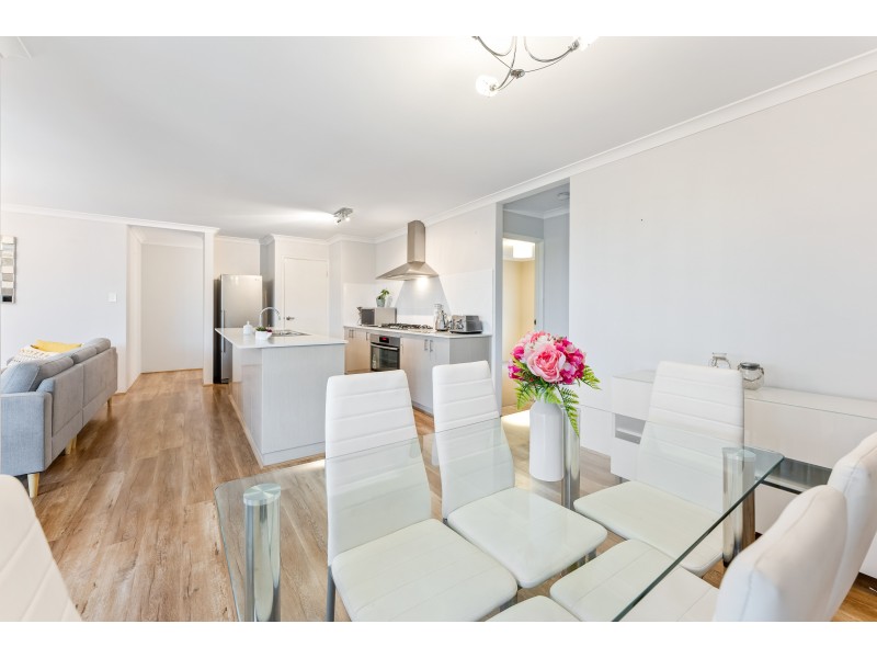 63 Echidna  Street, Banksia Grove WA 6031