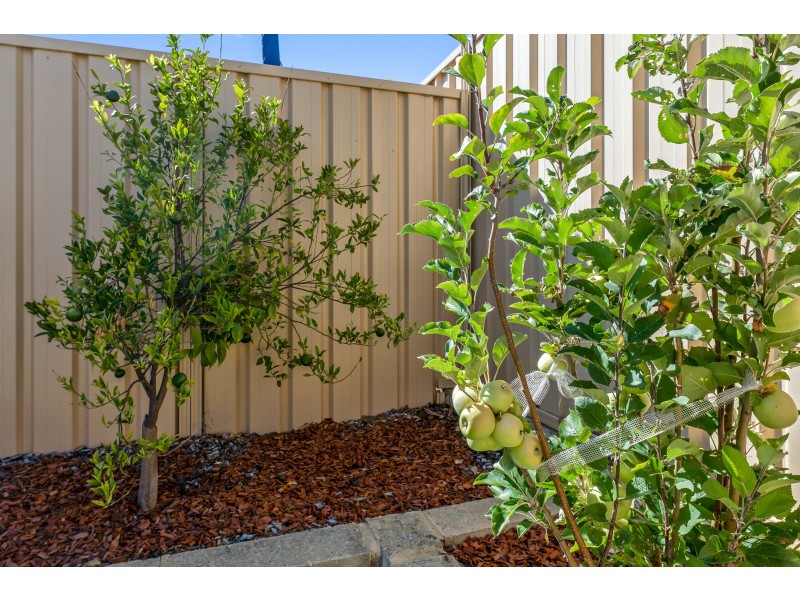 6 Indiana Way, Hocking WA 6065