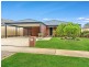 52 Cheltenham Loop, Bertram WA 6167
