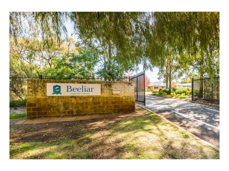 6 Triller Lane, Beeliar WA 6164