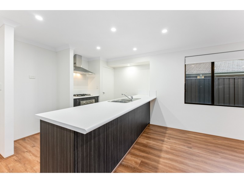 16 Woolly Road, Banksia Grove WA 6031