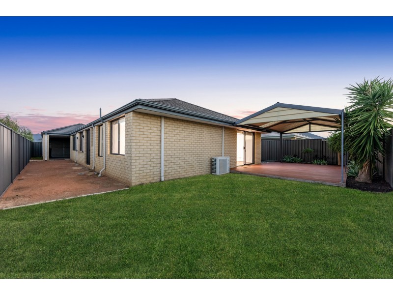 16 Woolly Road, Banksia Grove WA 6031