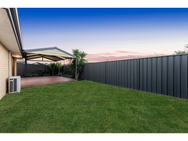 16 Woolly Road, Banksia Grove WA 6031