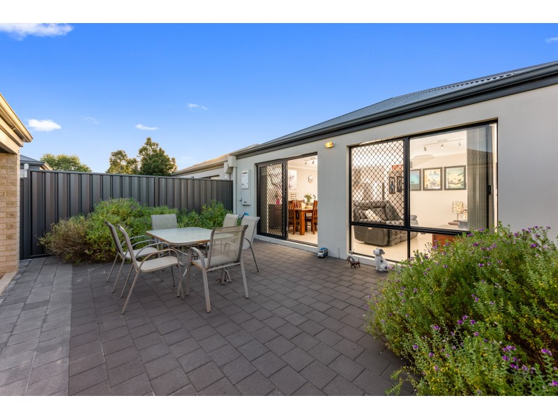 16 Conferta Link, Banksia Grove WA 6031