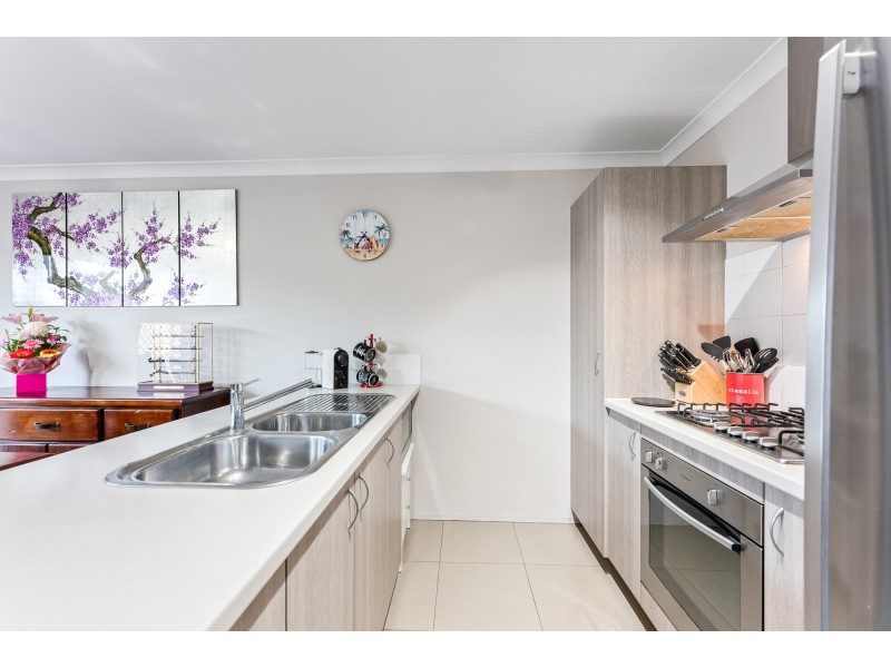 16 Conferta Link, Banksia Grove WA 6031