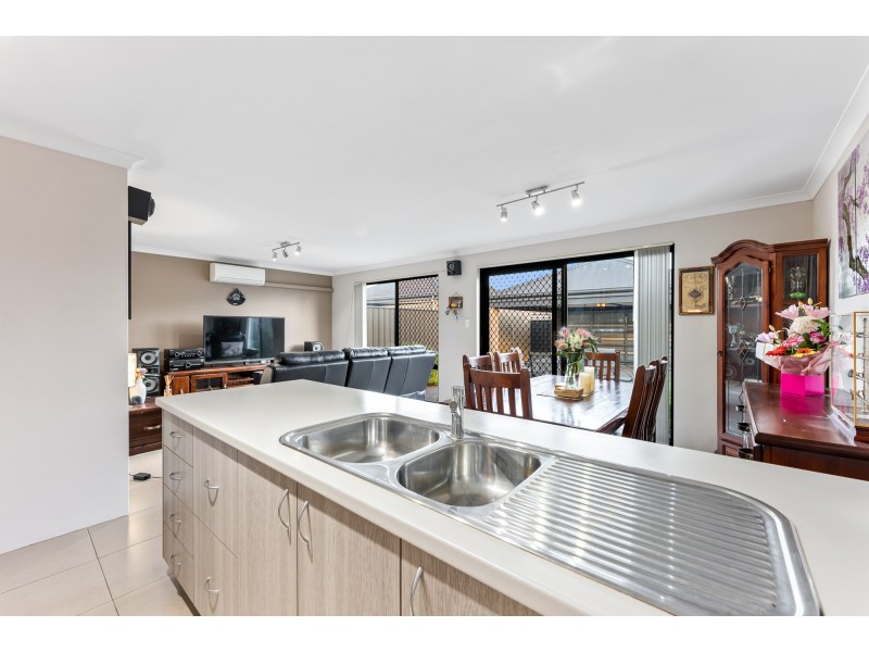 16 Conferta Link, Banksia Grove WA 6031
