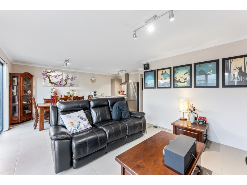 16 Conferta Link, Banksia Grove WA 6031