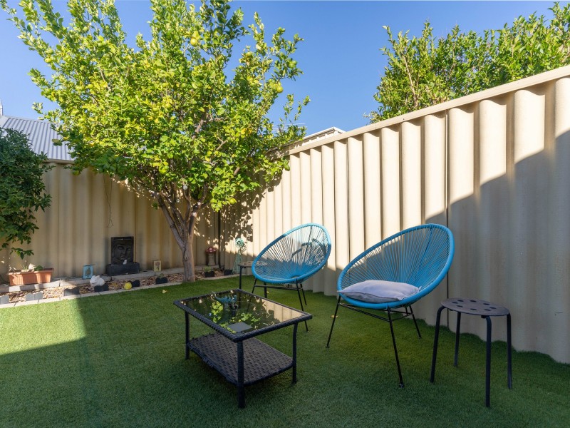 82 Rosegreen Avenue, Butler WA 6036