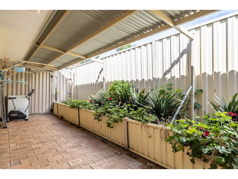 6 Allamanda Way, Halls Head WA 6210