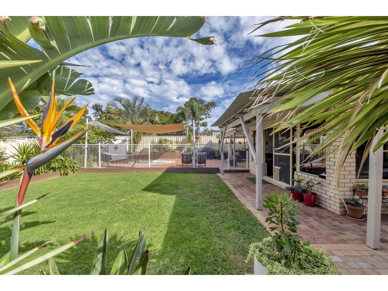 6 Allamanda Way, Halls Head WA 6210