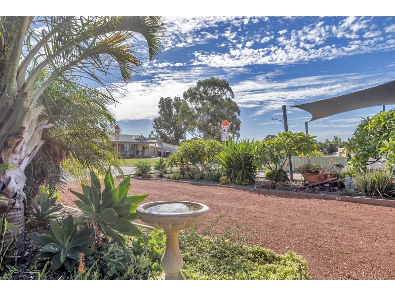 6 Allamanda Way, Halls Head WA 6210