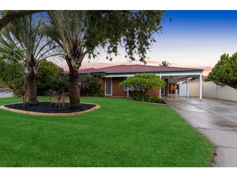 1 Coppice Court, Banksia Grove WA 6031