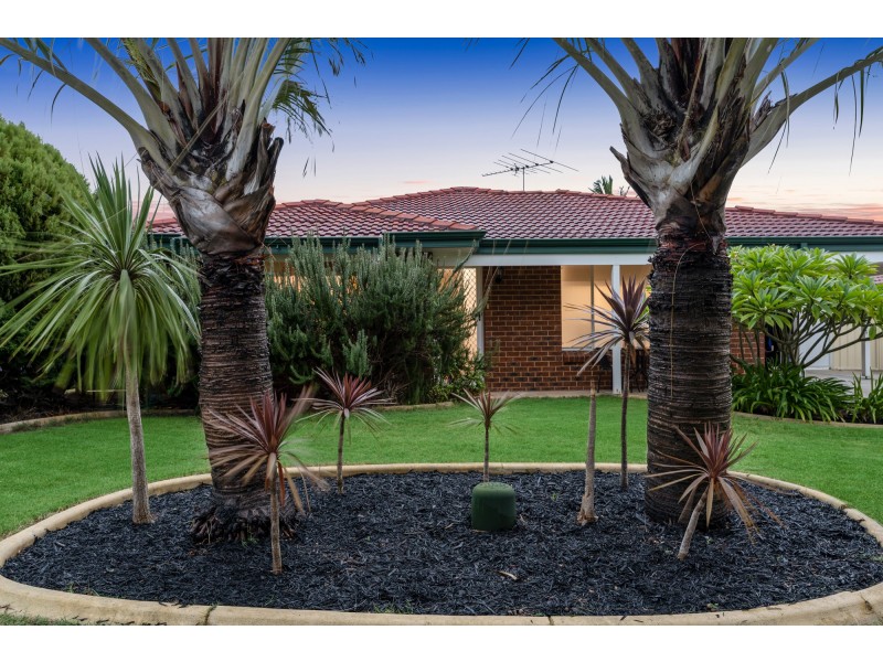 1 Coppice Court, Banksia Grove WA 6031