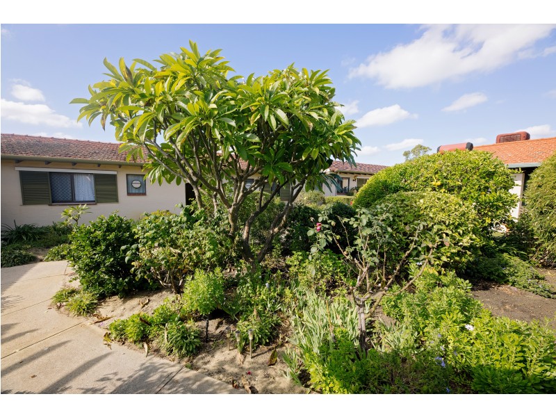 812/55 Belgrade Road, Wanneroo WA 6065