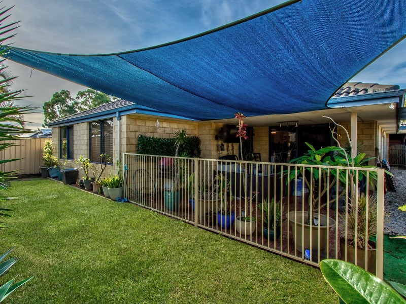 15 Millbrook Avenue, Bertram WA 6167