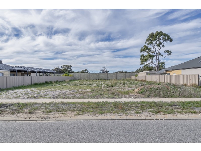 49 Appaloosa Drive, Baldivis WA 6171