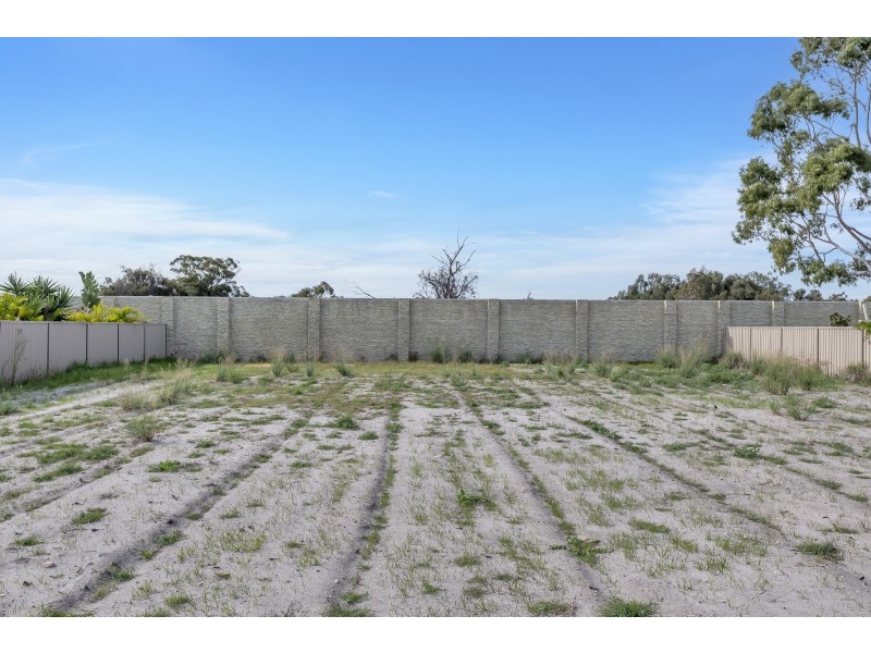 49 Appaloosa Drive, Baldivis WA 6171