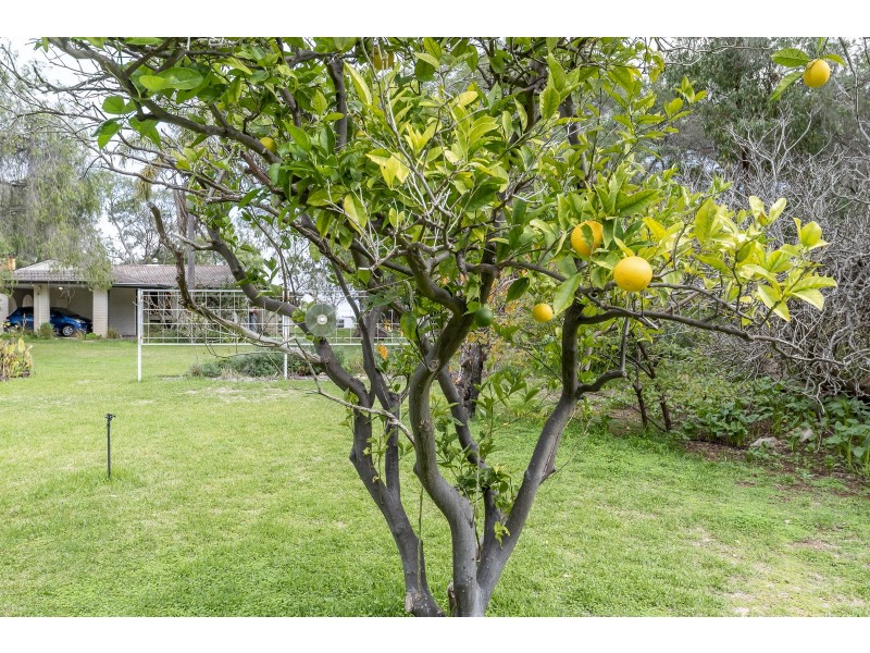 2776 Old Coast Road, Herron WA 6211