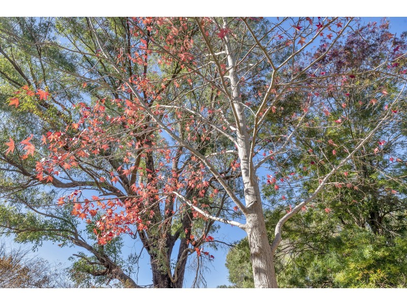 2776 Old Coast Road, Herron WA 6211