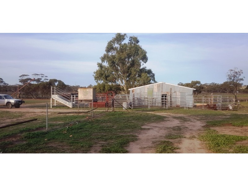 2858 Calingiri Road, Calingiri WA 6569