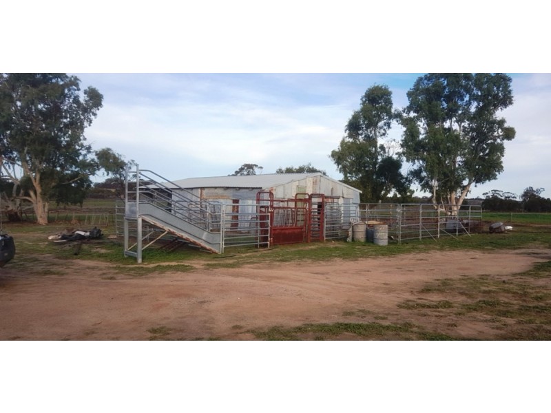 2858 Calingiri Road, Calingiri WA 6569