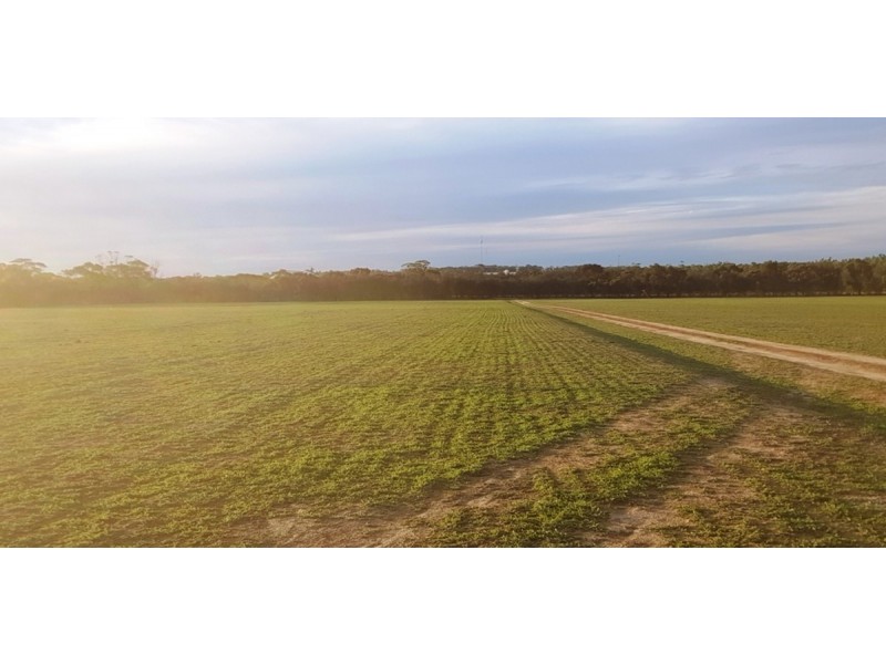 2858 Calingiri Road, Calingiri WA 6569