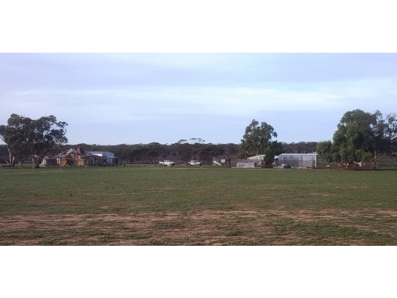 2858 Calingiri Road, Calingiri WA 6569