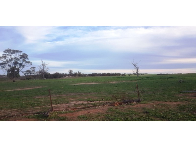 2858 Calingiri Road, Calingiri WA 6569