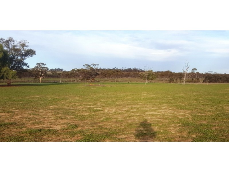 2858 Calingiri Road, Calingiri WA 6569