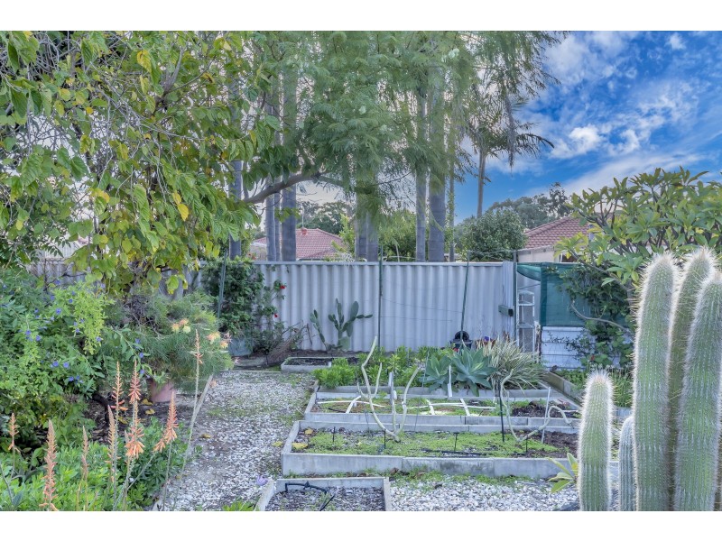 12 Mergate Court, Erskine WA 6210