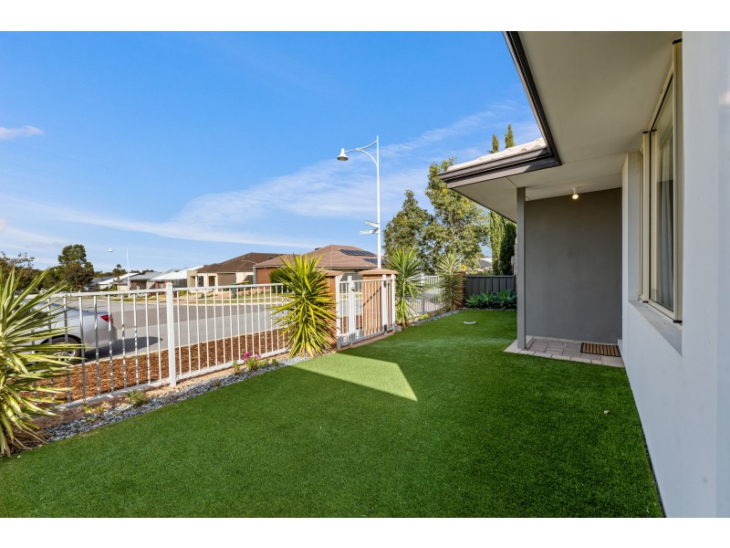 16 Cuddlepie Turn, Banksia Grove WA 6031