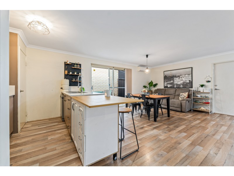 16 Cuddlepie Turn, Banksia Grove WA 6031