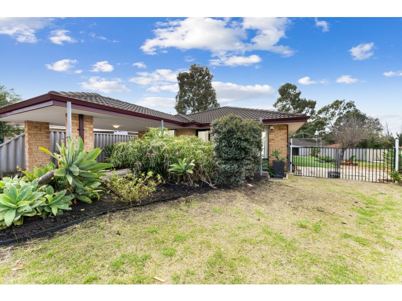 23 Reseda Elbow, Banksia Grove WA 6031