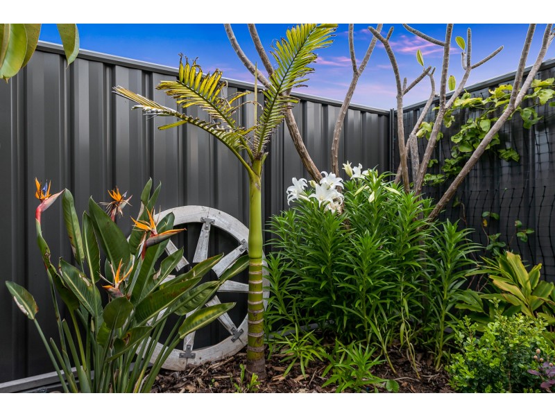 4 Gippsland Way, Banksia Grove WA 6031