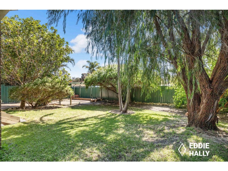 20 Willshire Way, Yangebup WA 6164