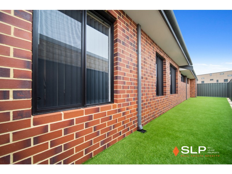 306 Grandis Boulevard, Banksia Grove WA 6031