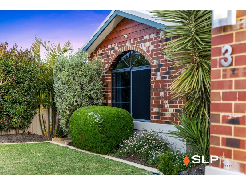 3 Eilyer Way, Carramar WA 6031