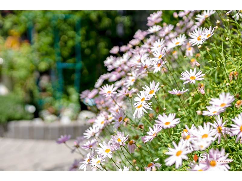 31 Brunswick Circuit, Banksia Grove WA 6031