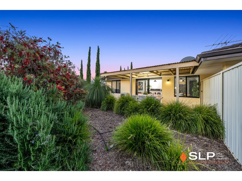 37 Viridian Drive, Banksia Grove WA 6031