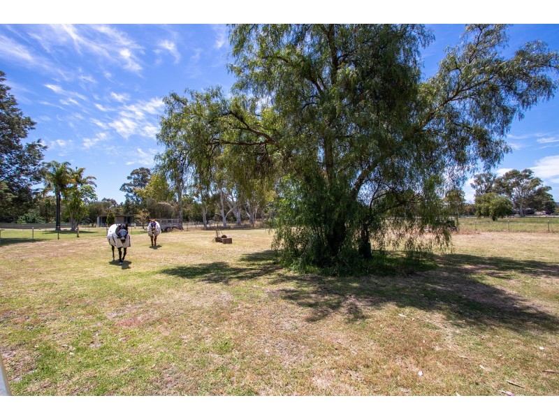 21 Carl Street, Muchea WA 6501