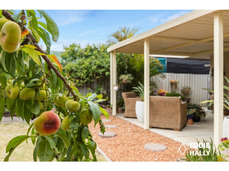 217 Yangebup Road, Yangebup WA 6164