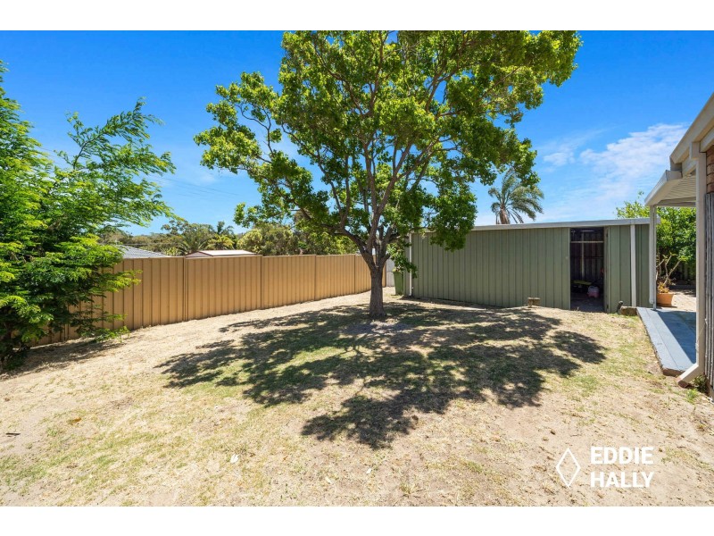 18 Tern Loop, Yangebup WA 6164